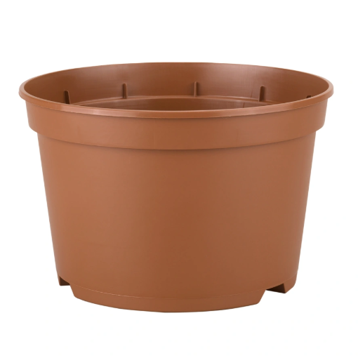 Image de Conteneur SB 4 L BAS - terre cuite - Filet de 90