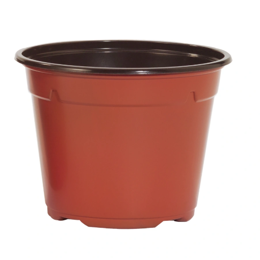 Image de POTS THERMOFORMES RONDS 11 cm 8° - Noir - Carton de 840