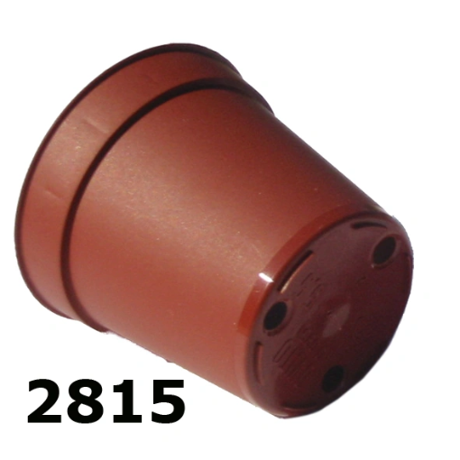 Image de POTS  HORTICOLES  RONDS  OVITO 5,5  cm  8° Es -  terre cuite -  Carton de 4800