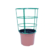 Image de POTS THERMOFORMES DUO RONDS BAS 14 cm 5 ° - Terre-Cuite - Carton de 374