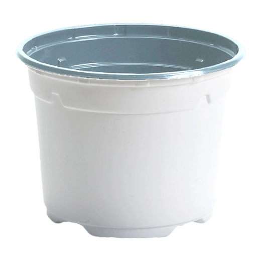 Image de POTS THERMOFORMES DUO RONDS 13  cm 5° - Noir - Carton de 456