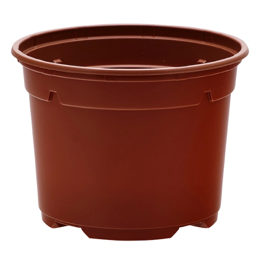 Image de POTS THERMOFORMES DUO RONDS 13  cm 5° - TC - Carton de 456