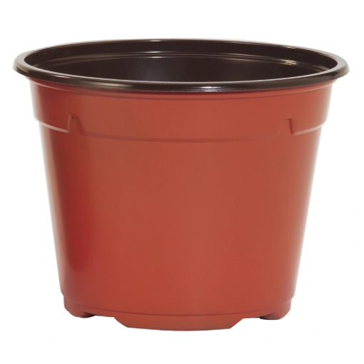 Image de POTS THERMOFORMES DUO RONDS 12 cm x 9,1 cm 8° - Terre-Cuite - Carton de 600