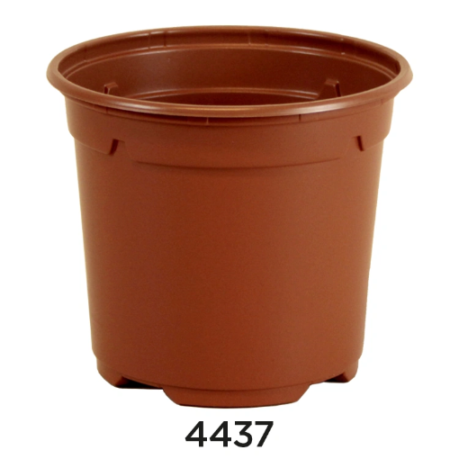 Image de POTS THERMOFORMES DUO RONDS HAUTS 10,5  cm 5° - Noir - palette vrac 15400