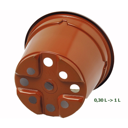 Image de POTS THERMOFORMES DUO RONDS 10  cm 8° - Noir - Carton de 1104