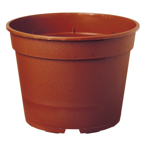 Image de POT CHRYSANTHEME - 2L6 - DIAM 19 - Palette de 3432