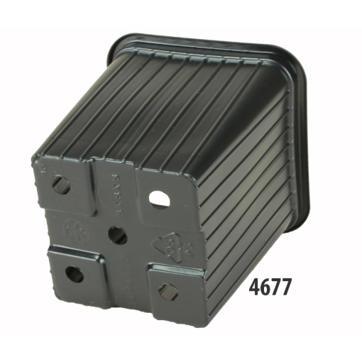 Image de Godets Plastique CARRES 8 X 8 X 8 cm PN - bords ronds - noir - Carton de 1218