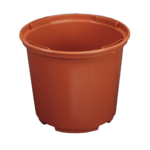 Image de Conteneur 0,52L V X NOIR 10,5 cm -  Carton de 640