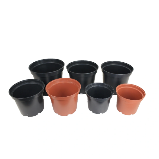 Image de Conteneur SX - 19 X 14,9 cm 3 L - Vert EB - Gaine de 102