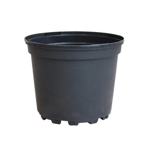 Image de Conteneur SX - 15 X 11,9 cm 1L5 - Noir - Gaine de 104