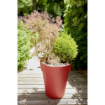 Image de VASE TOSCANE HAUT D 44  H 53 cm 50 L - Rouge rubis