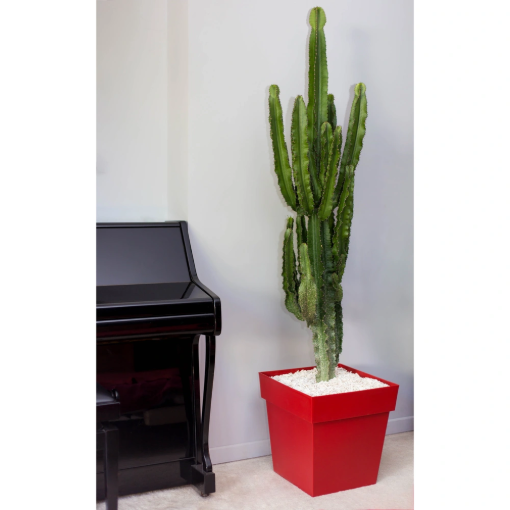 Image de POT TOSCANE CARRE 39 x 39 X  H 39 cm 38 litres - Rouge rubis