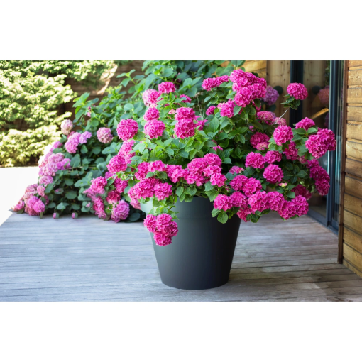 Image de POT TOSCANE D 60  H 47 cm 76 L - gris anthracite