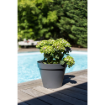 Image de POT TOSCANE D 40 H 32 cm 23 L - gris anthracite