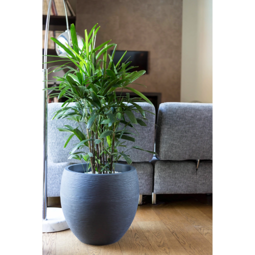 Image de Pot Egg "GRAPHIT" - Dim : 50  x 45 cm - 46 L - gris anthracite - Unité