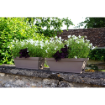 Image de Jardinière ROMEO  50 cm 48,5 X 20,8 X 17 cm TAUPE - L'unité
