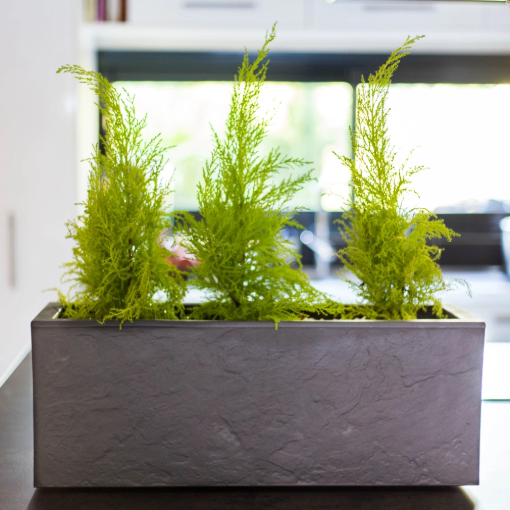 Image de Balconnière "GRAPHIT'UP" - Dim : 59x19,5x22,8 - 25 L - rouge rubis -Unité -JAEDS