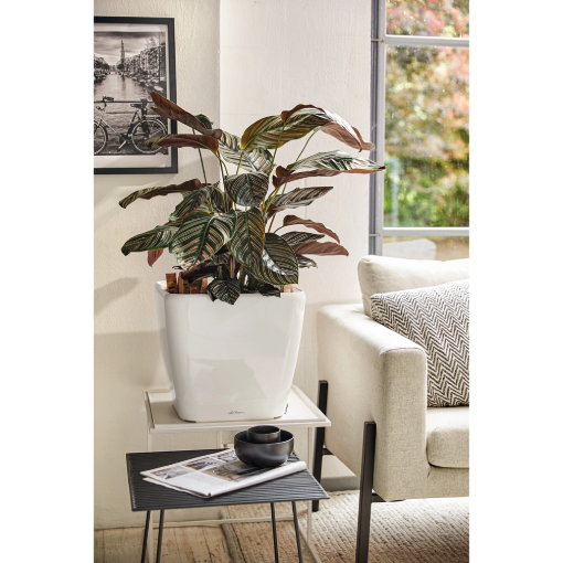 Image de QUADRO PREMIUM LS 43 - KIT COMPLET - BLANC BRILLANT - L'unité