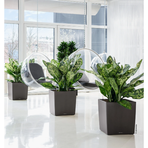 Image de CUBE PREMIUM 50 KC - KIT COMPLET - ANTHRACITE Métal - L'unité