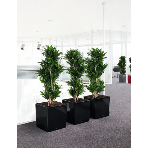 Image de CUBE PREMIUM 40 KC - KIT COMPLET - NOIR BRILLANT - L'unité