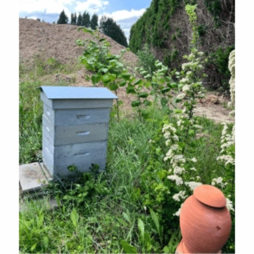 Image de OLLAS BEE N°5 - 9L0 - CERAMIQUE ABREUVOIR ABEILLES - 6/8J - Unité