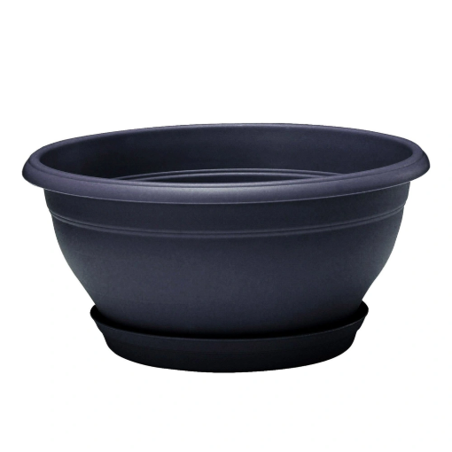 Image de Coupe LOTUS 30 cm souCoupe GRIS ANTHRACITE - L'unité