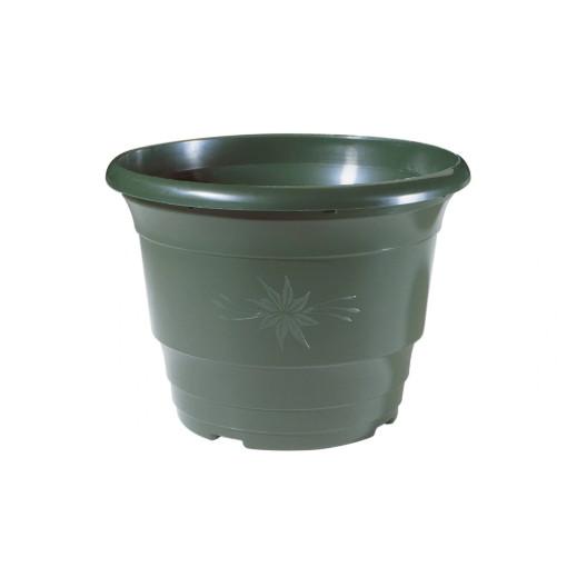 Image de POT FLORIA DIAM 234 VERT SAPIN PERCE - Lot  de 100