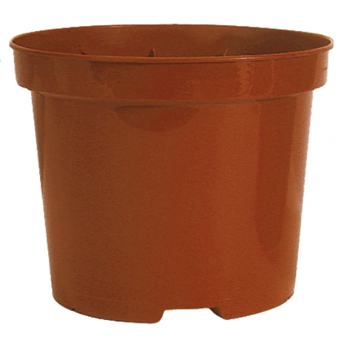 Image de Conteneur SL 0.8 L - 12 x 9.2 cm - NOIR - Carton de 480