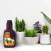 Image de Engrais SUCCULENTES CACTEES - 250ml - Le bidon