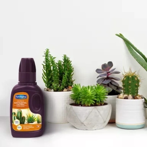Image de Engrais SUCCULENTES CACTEES - 250ml - Le bidon