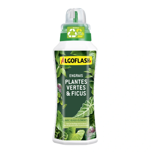 Image de Engrais Plantes Vertes et ficus 500 ml - le flacon