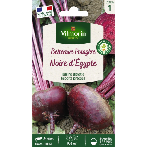Image de BETTERAVE NOIRE EGYPTE VL1 - Le sachet