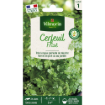 Image de CERFEUIL FRISE  VL 1 - Le sachet