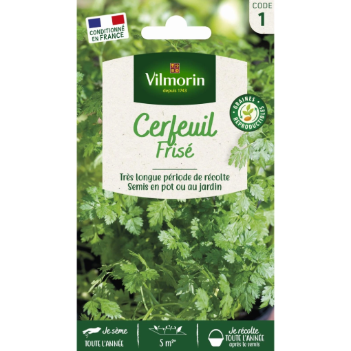 Image de CERFEUIL FRISE  VL 1 - Le sachet