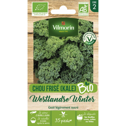 Image de CHOU FRISE WEST WINTER BIO VL2 - Le sachet