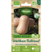 Image de COURGE BUTTERNUT BIO VL 2 - Le sachet