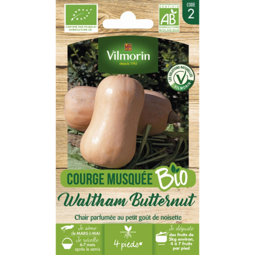 Image de COURGE BUTTERNUT BIO VL 2 - Le sachet