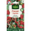 Image de FRAISIER 4 SAISONS SUPREME VL2 - Le sachet