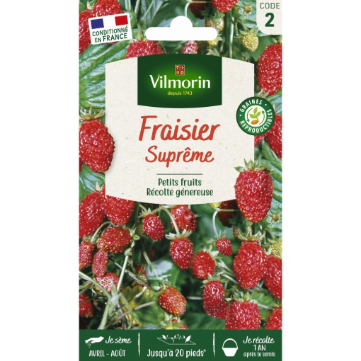 Image de FRAISIER 4 SAISONS SUPREME VL2 - Le sachet