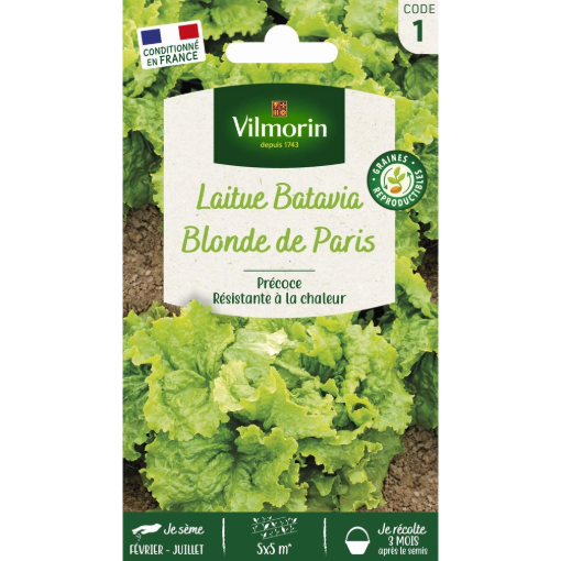 Image de LAITUE BLONDE DE PARIS VL1 BATAVIA - Le sachet