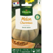 Image de MELON CHARENTAIS VL 1 - Le sachet