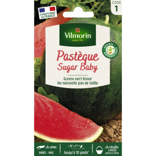 Image de PASTEQUE SUGAR BABY VL 1 - Le sachet