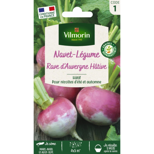 Image de NAVET RAVE AUVERGNE HATIF VL1 - Le sachet