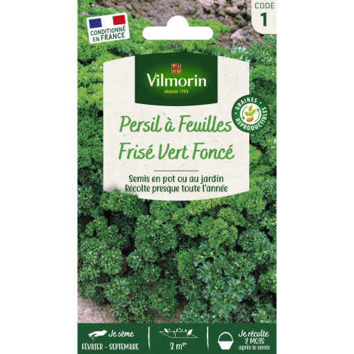 Image de PERSIL FRISE VERT VL1 - Le sachet