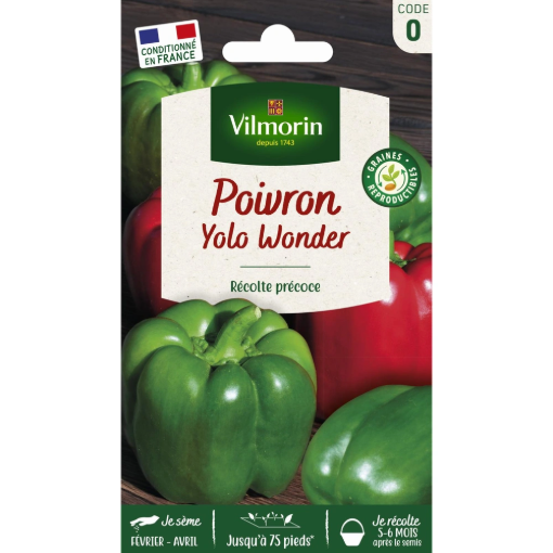 Image de POIVRON YOLO WONDER VL 0 - Le sachet