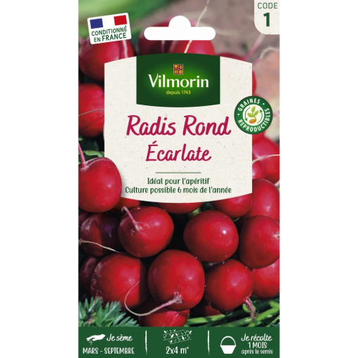 Image de RADIS RONDS ECALATE VL1 - Le sachet