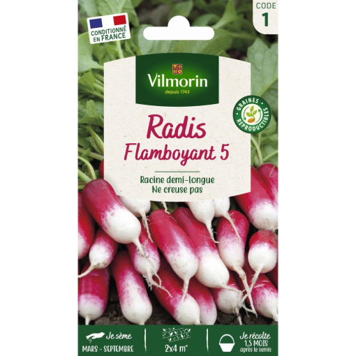 Image de RADIS FLAMBOYANT 5 VL 1 - Le sachet