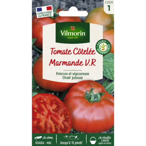 Image de TOMATE MARMANDE VR VL 1 - Le sachet