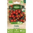 Image de TOMATE CERISE BIO VL 2 - Le sachet