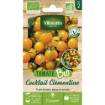 Image de TOMATE CLEMENTINE BIO VL 2 - Le sachet